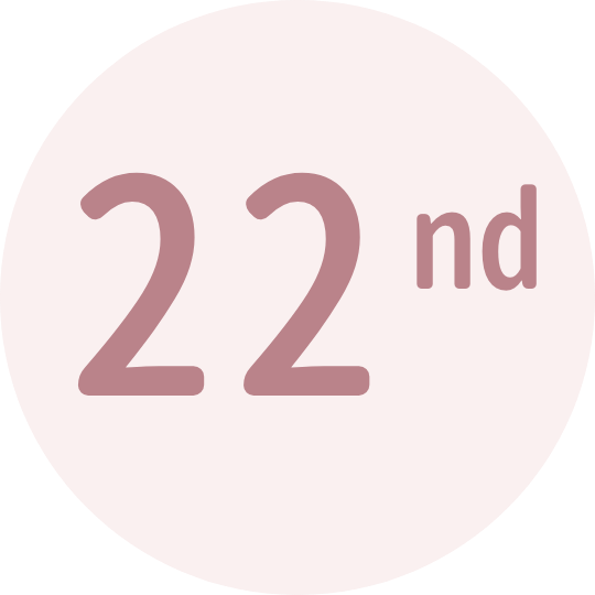 <strong>20</strong> Years of Professional Experience